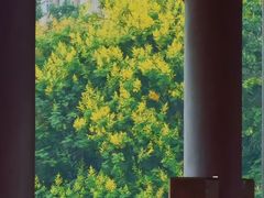 -白鹭洲书院