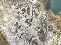 -海盗餐厅