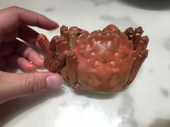 -七的湖·晚芳亭·阳澄湖农家菜·大闸蟹(莲花岛店)