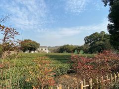 -中国茶叶博物馆(双峰馆区)