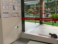 -御宝贝24h宠物医院·转诊中心·CT核磁血透中心(厦门总院)
