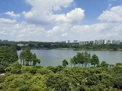 -东莞松山湖凯悦酒店