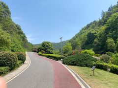 -桃花岭景区