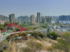 -仙岳公园