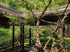 -黄公望隐居地