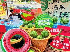 -鹏欣水游城