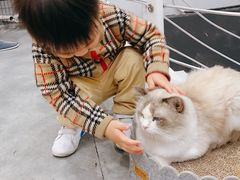 -极木²邸 人与宠物·互动社区