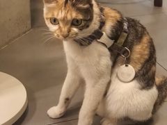 -Again Coffee Roaster(香蜜湖店)