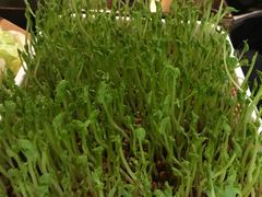 -番食园鲜食火锅(高新店)