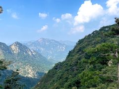 -沂蒙山旅游区云蒙景区(蒙山国家森林公园)