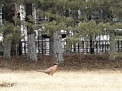 -长春世界雕塑园冰雪艺术天地