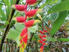 -西双版纳融创皇冠假日度假酒店