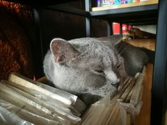 -莫比餐厅(五道口店)