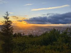 -长虫山生态公园风景林