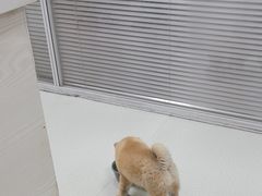 -美美宠物诊疗中心·异宠·骨科(滨江东信分院)