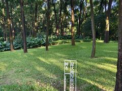 -云溪植物园
