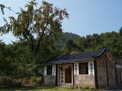 -千年银杏谷文化旅游区