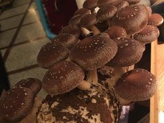 -大头椰·椰子鸡火锅(南宁万象城店)