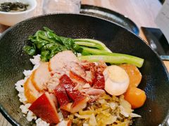 -MR鹅外