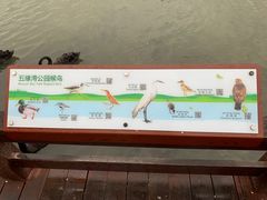 -五缘湾湿地公园