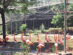 -石家庄市动物园