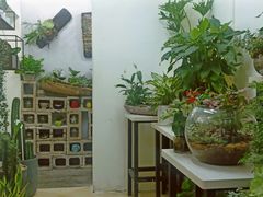 -溪岸路花鸟市场