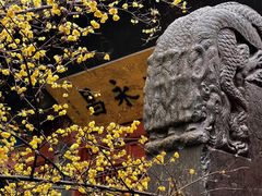 -洛阳白马寺