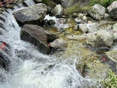 -苍山感通索道