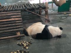 -无锡动物园·太湖欢乐园