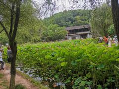 -重庆园博园