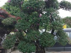 -天怡·鱼工厂(临江店)