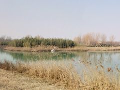 -淇河国家湿地公园