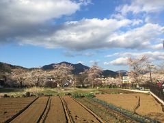 -富士山吉田線五合目