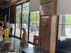 -宠颐生斯嘉宠物医院·急重症·心内科(谷阳北路分院)