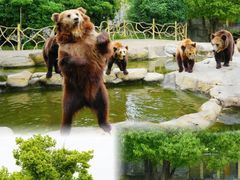 -常州淹城野生动物世界