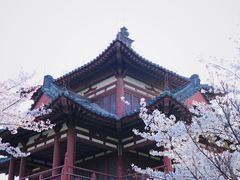 -西安青龙寺遗址景区