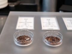 -LOOOAD COFFEE进度条(D9街区店)