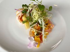 -蝶舍·MAISON PAPILLON