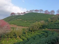 -漳州佰翔圆山酒店·圆山畔西餐厅