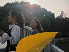 -溪岸路花鸟市场