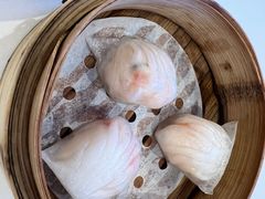 -粤珍轩.创始店.始于2001(含光门店)