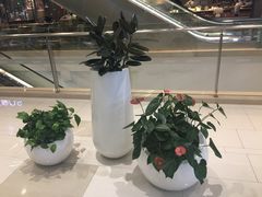 -苏州现代传媒广场商业