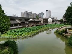 -龙潭水乡
