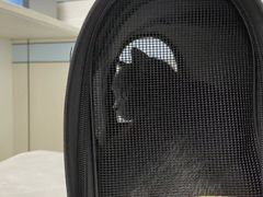 -中农国际动物医院24小时·猫科·骨科·急重症中心