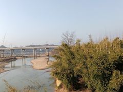 -马口生态公园
