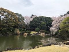 -东京国立博物馆