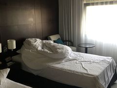 -JR东日本大都会大饭店东京城