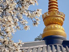 -径山寺