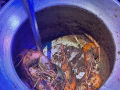 -钳真多钓虾馆·小龙虾海鲜烧烤(九六广场店)