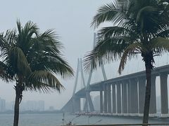 -中澳友谊花园